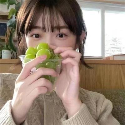 企鹅之岛:福克兰
